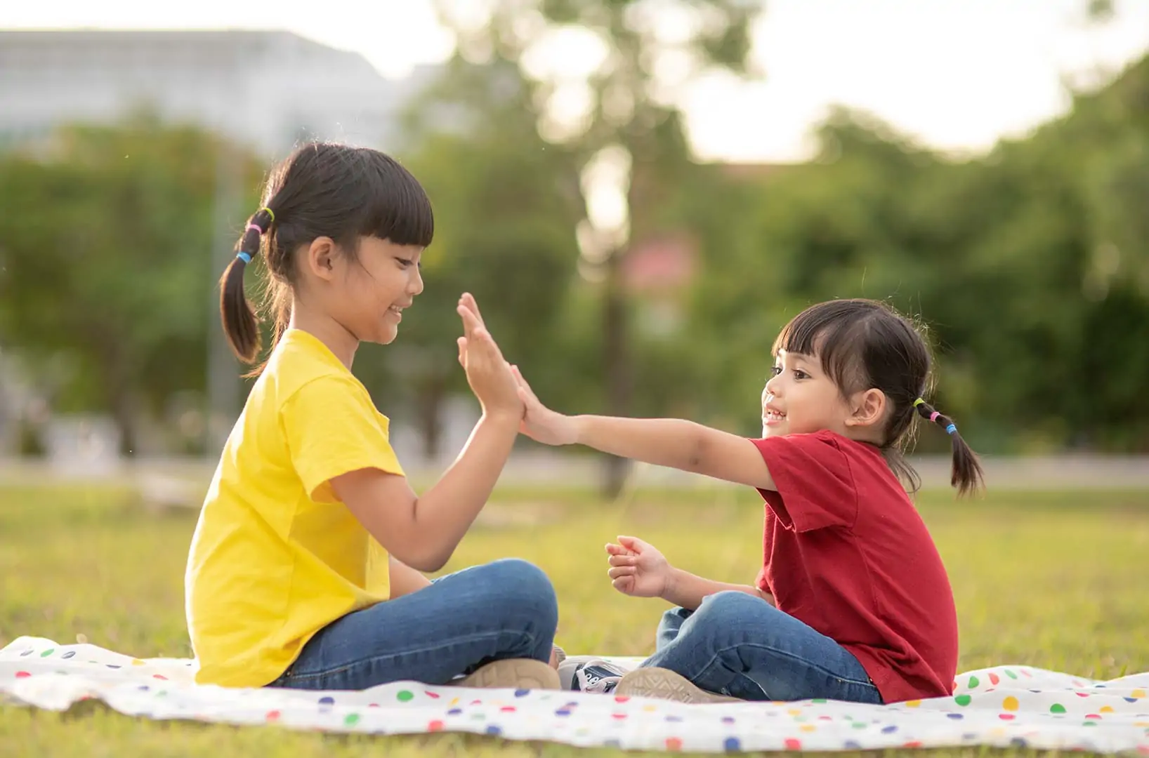 Social Skills Development